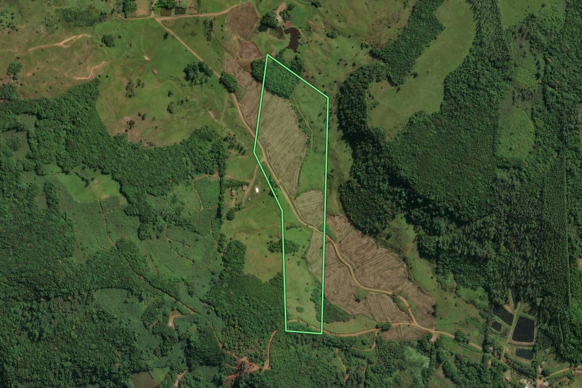 Imagem de satélite do imóvel rural em Jacinto Machado (SC), com o contorno declarado no CAR desenhado por cima.