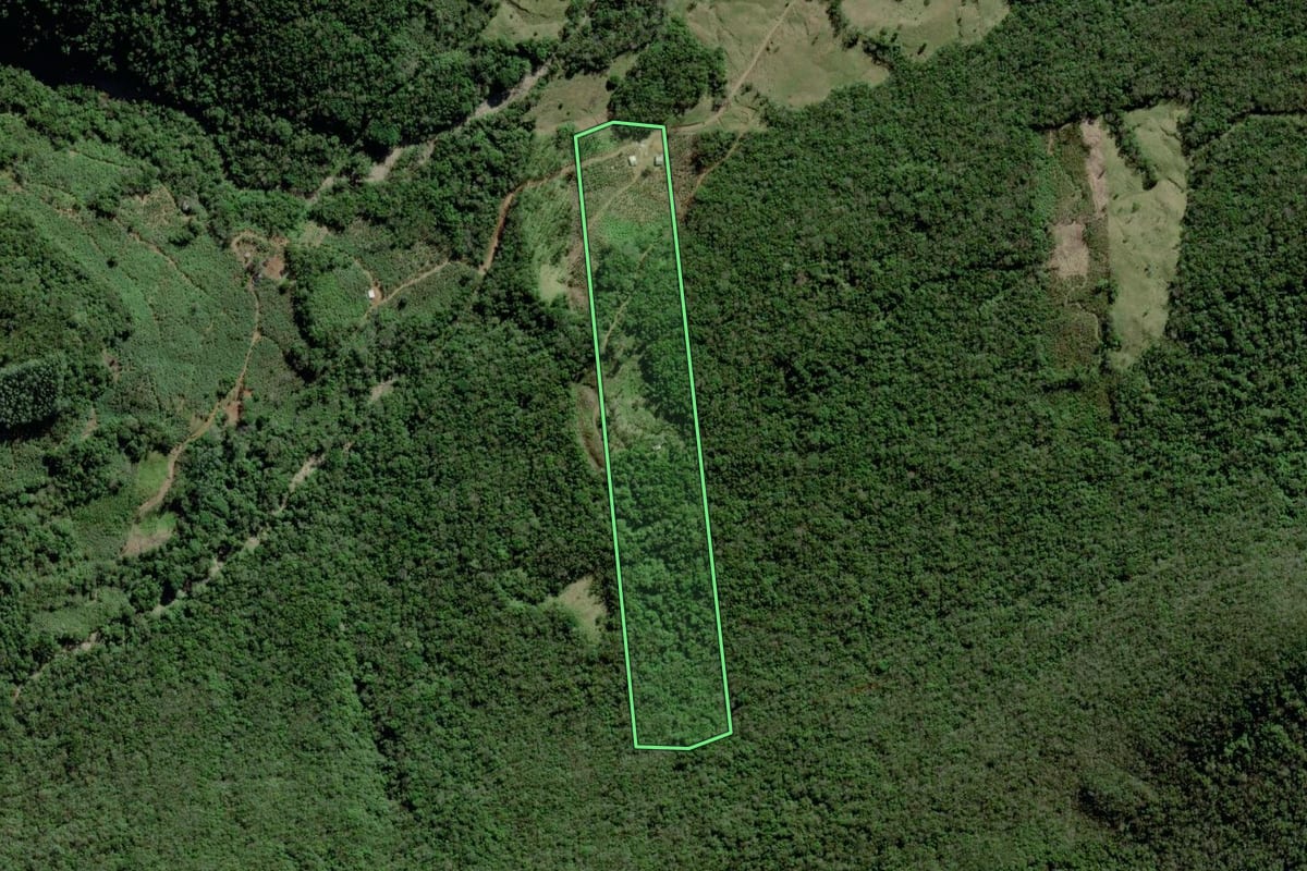Imagem de satélite do imóvel rural em Jacinto Machado (SC), com o contorno declarado no CAR desenhado por cima.