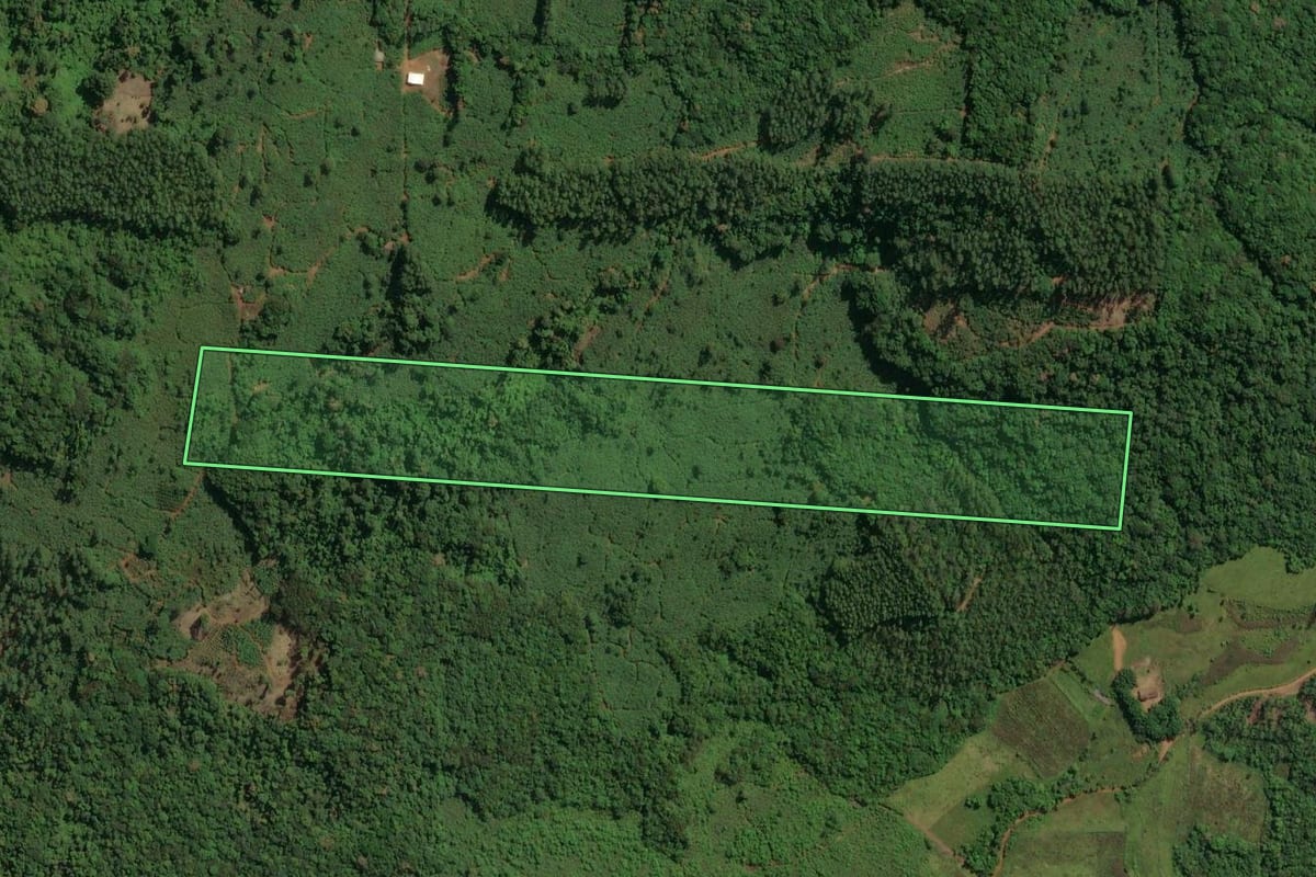 Imagem de satélite do imóvel rural em Jacinto Machado (SC), com o contorno declarado no CAR desenhado por cima.