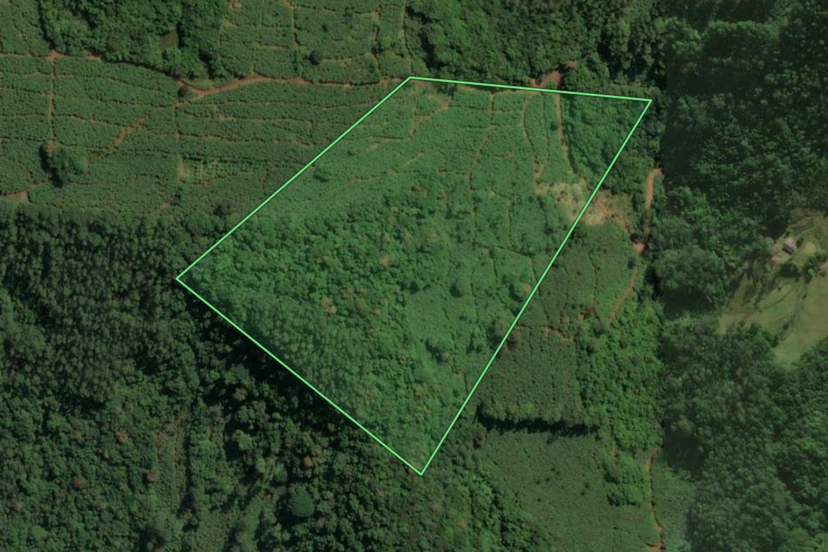 Imagem de satélite do imóvel rural em Jacinto Machado (SC), com o contorno declarado no CAR desenhado por cima.