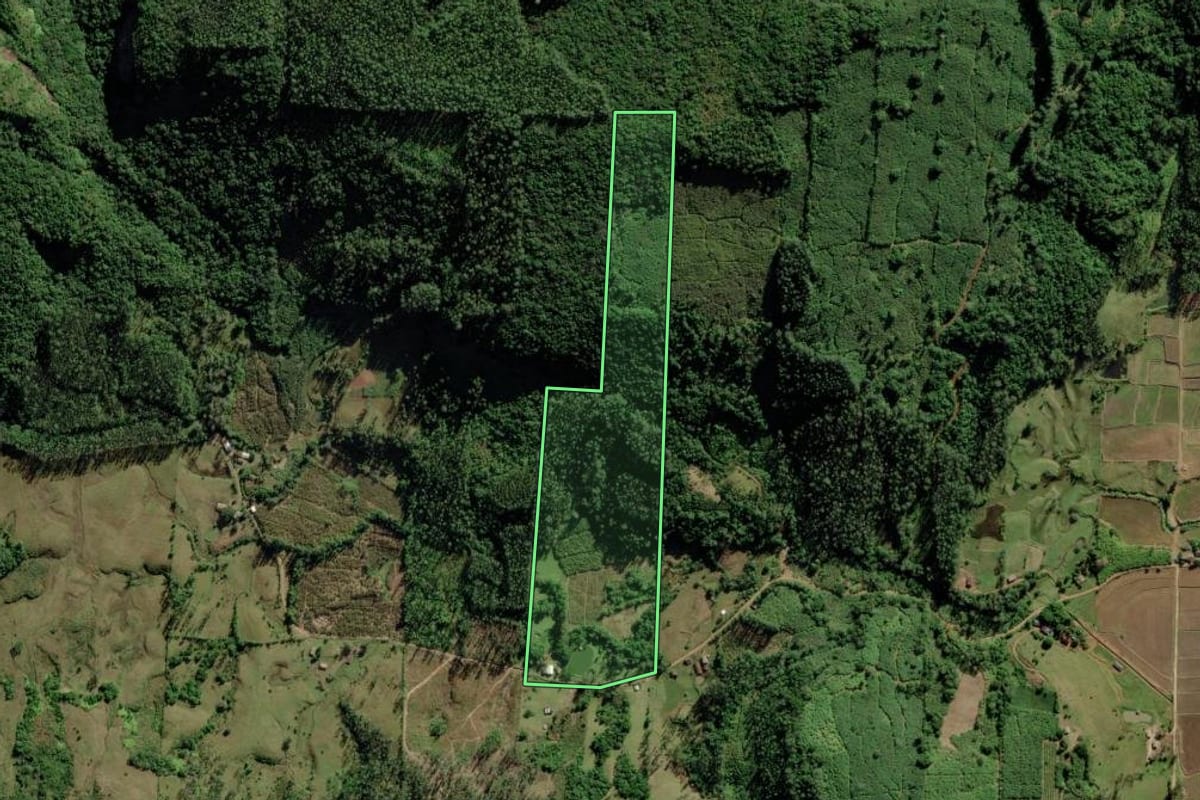 Imagem de satélite do imóvel rural em Jacinto Machado (SC), com o contorno declarado no CAR desenhado por cima.