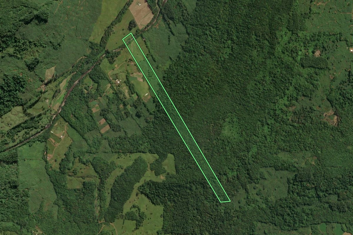 Imagem de satélite do imóvel rural em Jacinto Machado (SC), com o contorno declarado no CAR desenhado por cima.