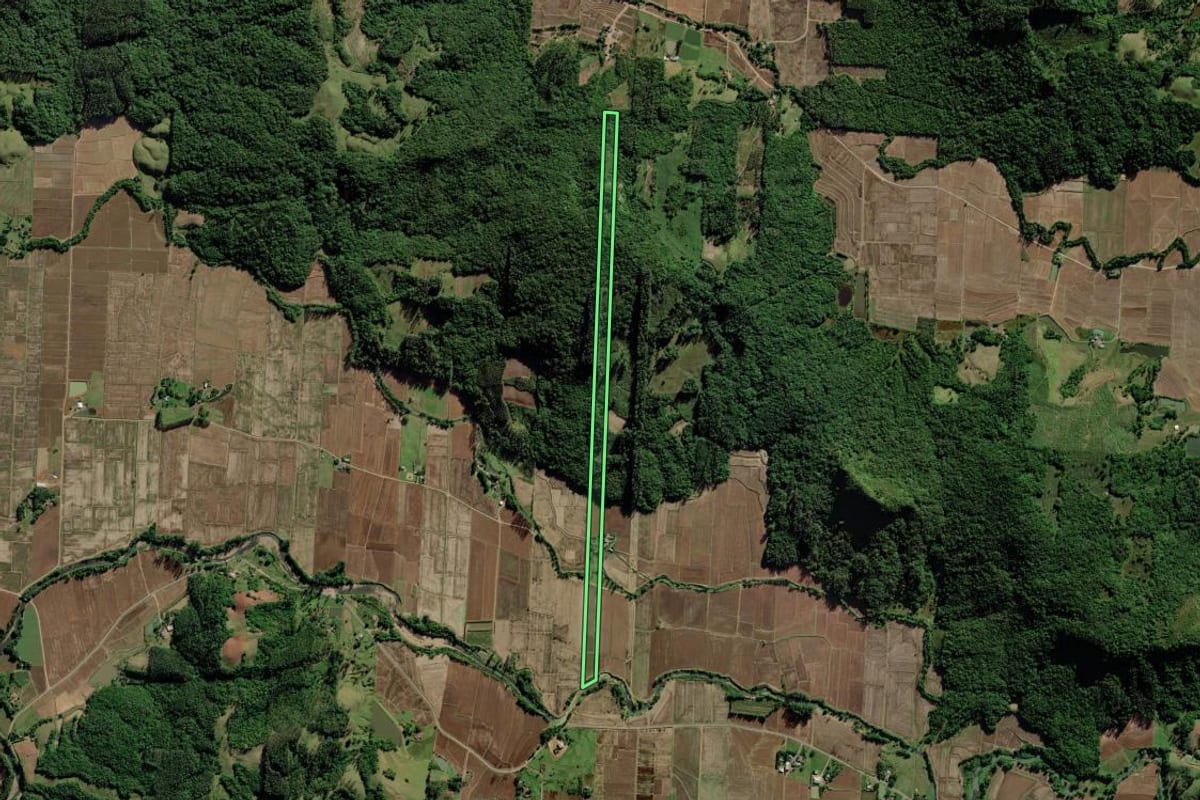 Imagem de satélite do imóvel rural em Jacinto Machado (SC), com o contorno declarado no CAR desenhado por cima.