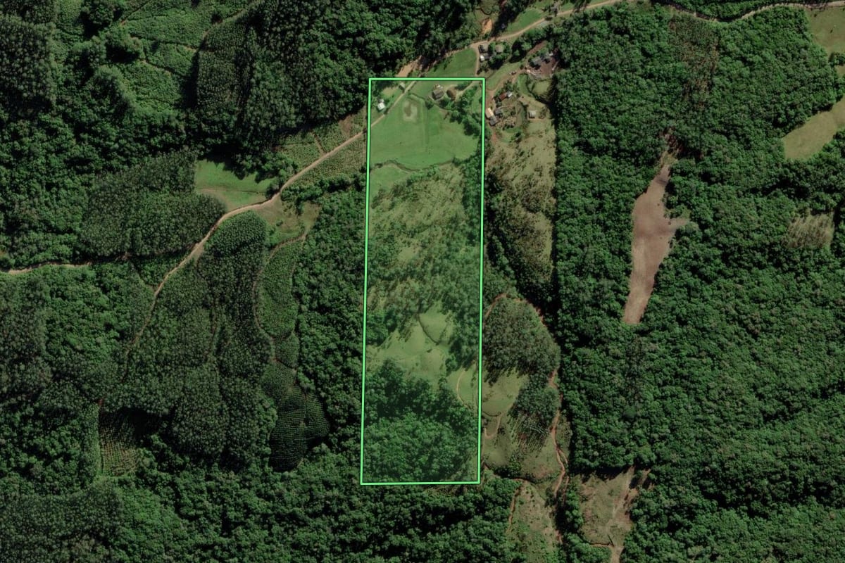 Imagem de satélite do imóvel rural em Turvo (SC), com o contorno declarado no CAR desenhado por cima.