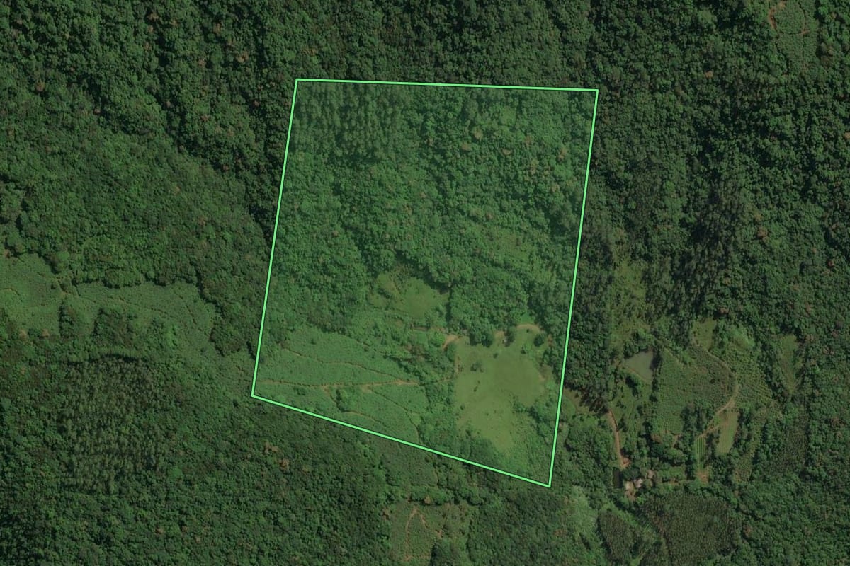 Imagem de satélite do imóvel rural em Jacinto Machado (SC), com o contorno declarado no CAR desenhado por cima.