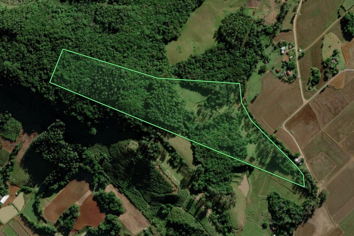 Imagem de satélite do imóvel rural em Jacinto Machado (SC), com o contorno declarado no CAR desenhado por cima.