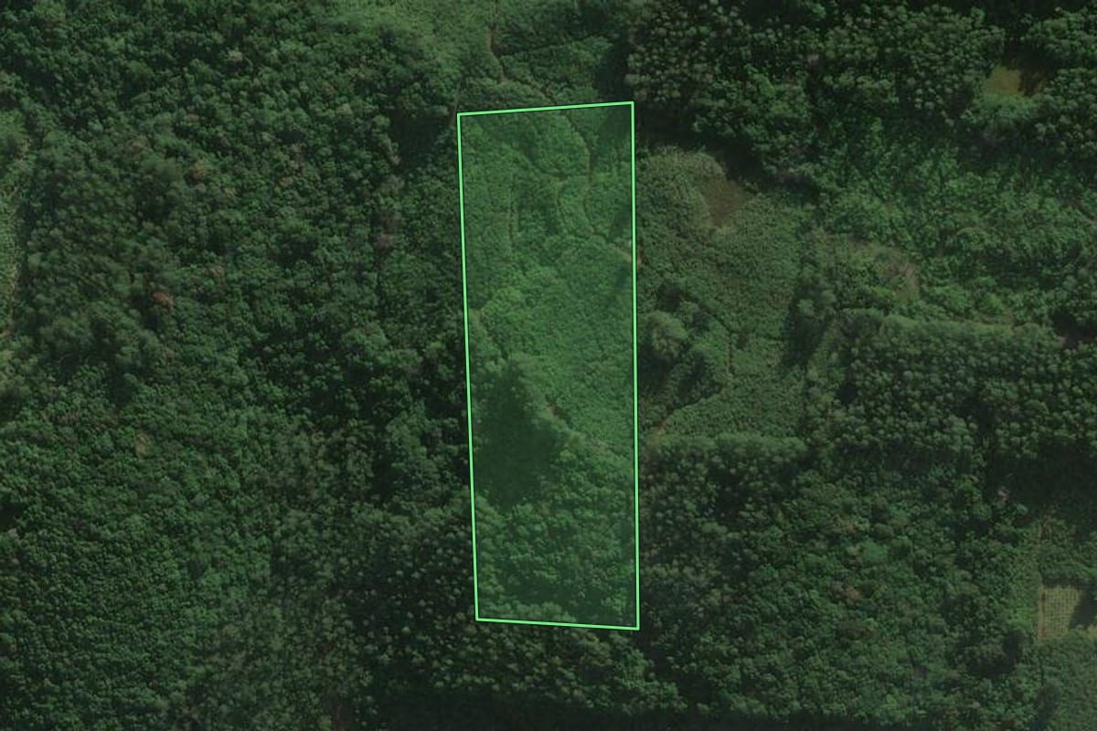 Imagem de satélite do imóvel rural em Jacinto Machado (SC), com o contorno declarado no CAR desenhado por cima.