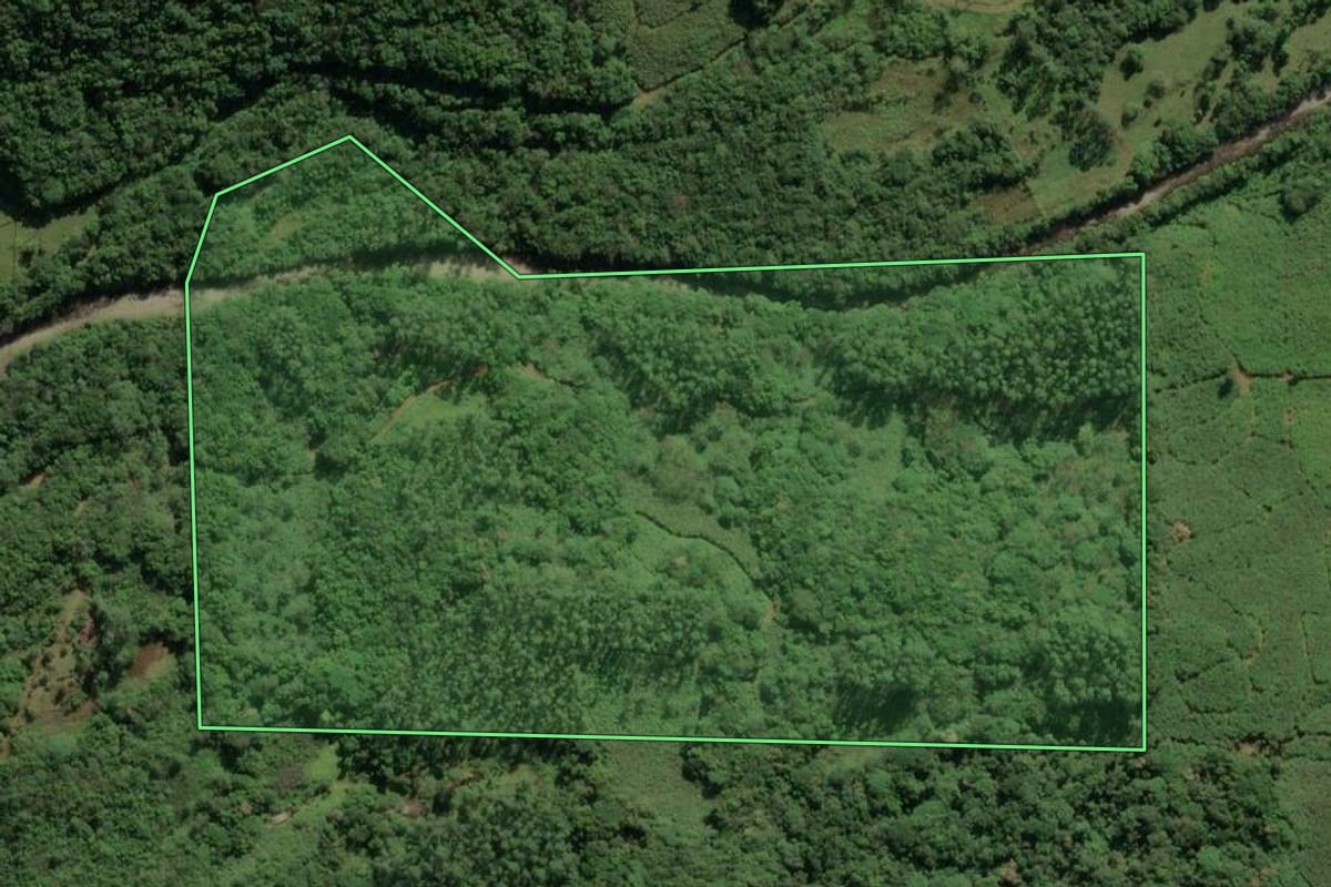 Imagem de satélite do imóvel rural em Jacinto Machado (SC), com o contorno declarado no CAR desenhado por cima.