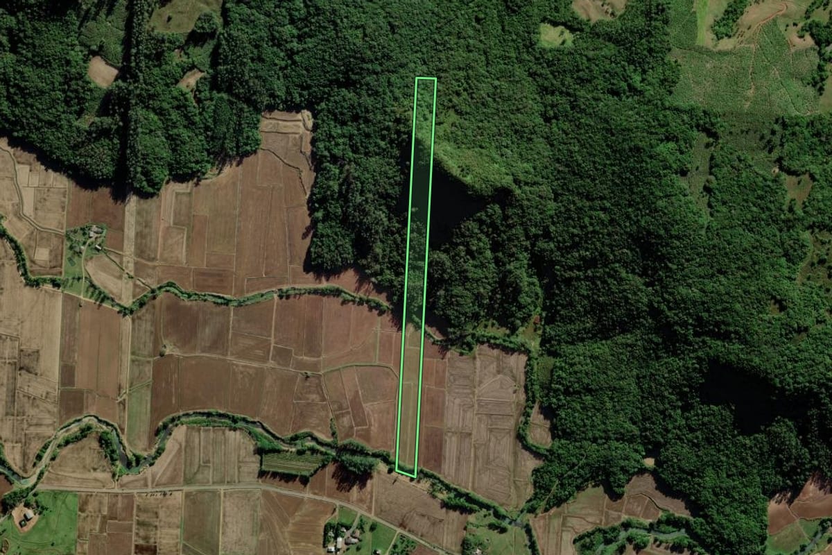 Imagem de satélite do imóvel rural em Jacinto Machado (SC), com o contorno declarado no CAR desenhado por cima.