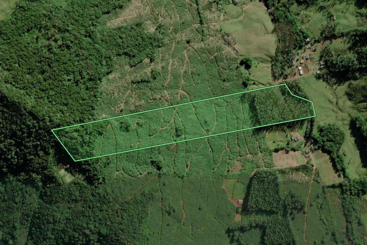 Imagem de satélite do imóvel rural em Jacinto Machado (SC), com o contorno declarado no CAR desenhado por cima.