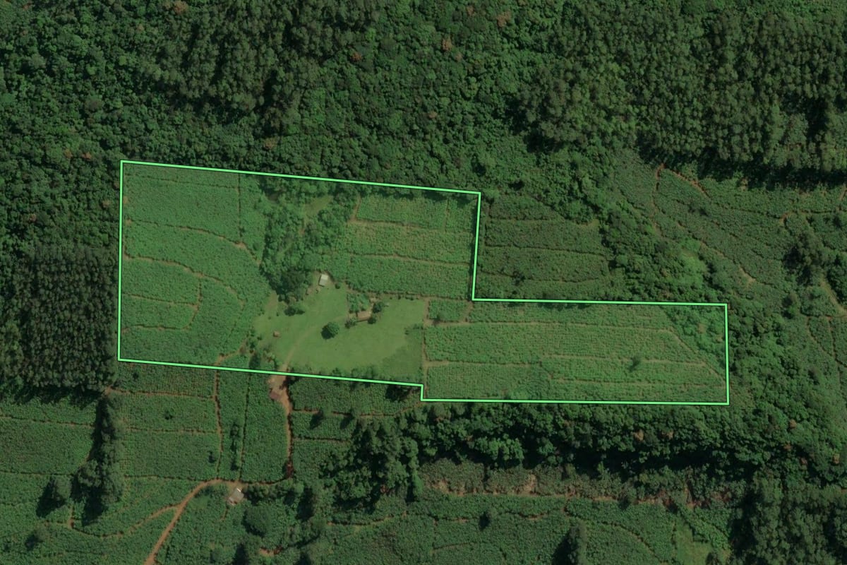 Imagem de satélite do imóvel rural em Jacinto Machado (SC), com o contorno declarado no CAR desenhado por cima.