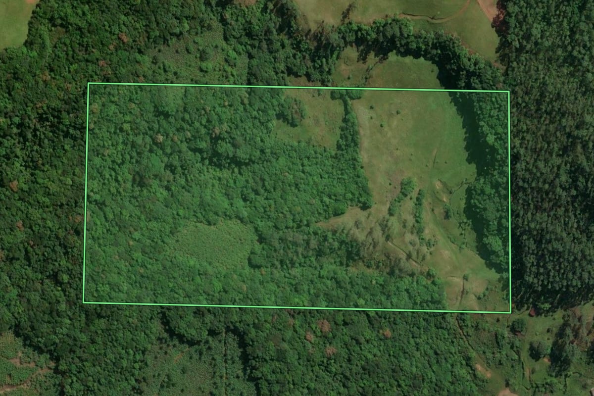 Imagem de satélite do imóvel rural em Jacinto Machado (SC), com o contorno declarado no CAR desenhado por cima.