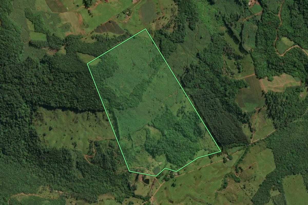 Imagem de satélite do imóvel rural em Jacinto Machado (SC), com o contorno declarado no CAR desenhado por cima.