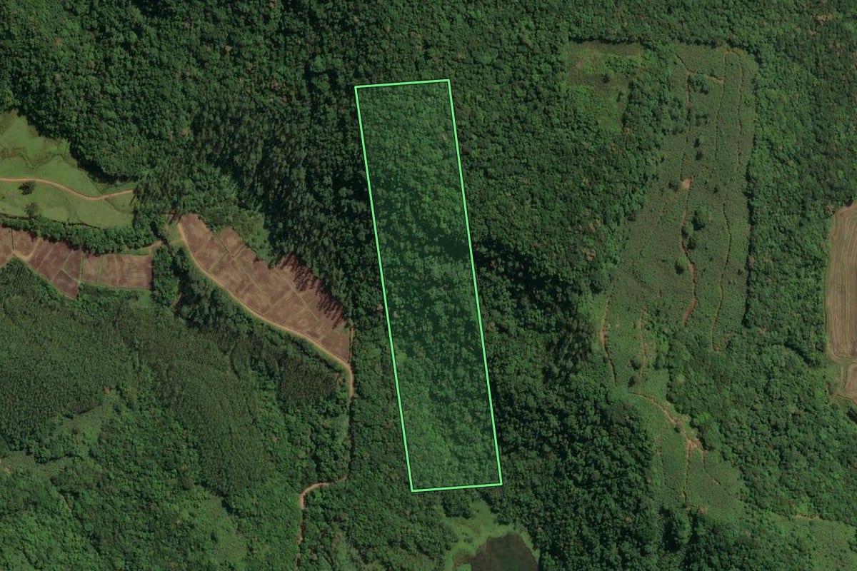 Imagem de satélite do imóvel rural em Jacinto Machado (SC), com o contorno declarado no CAR desenhado por cima.