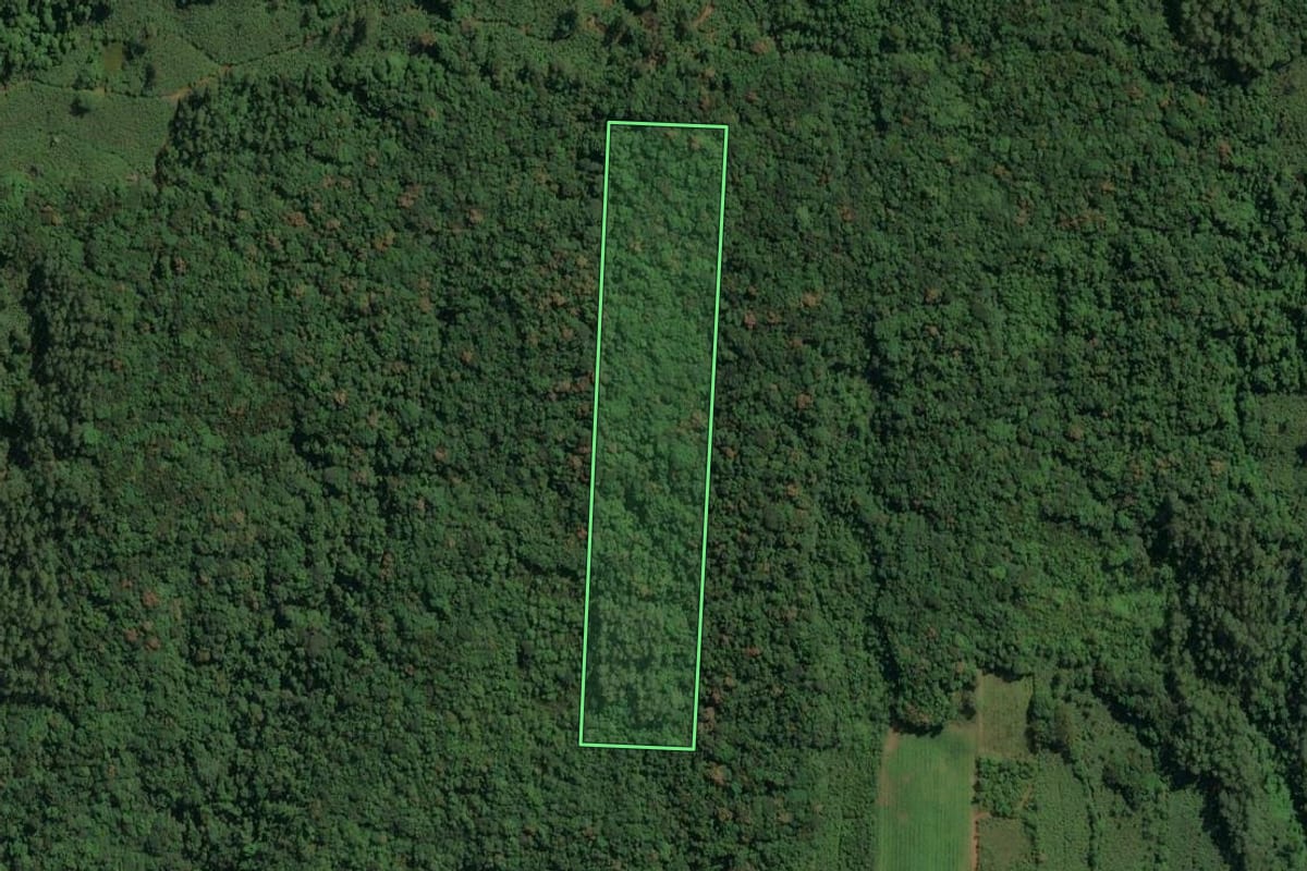 Imagem de satélite do imóvel rural em Jacinto Machado (SC), com o contorno declarado no CAR desenhado por cima.