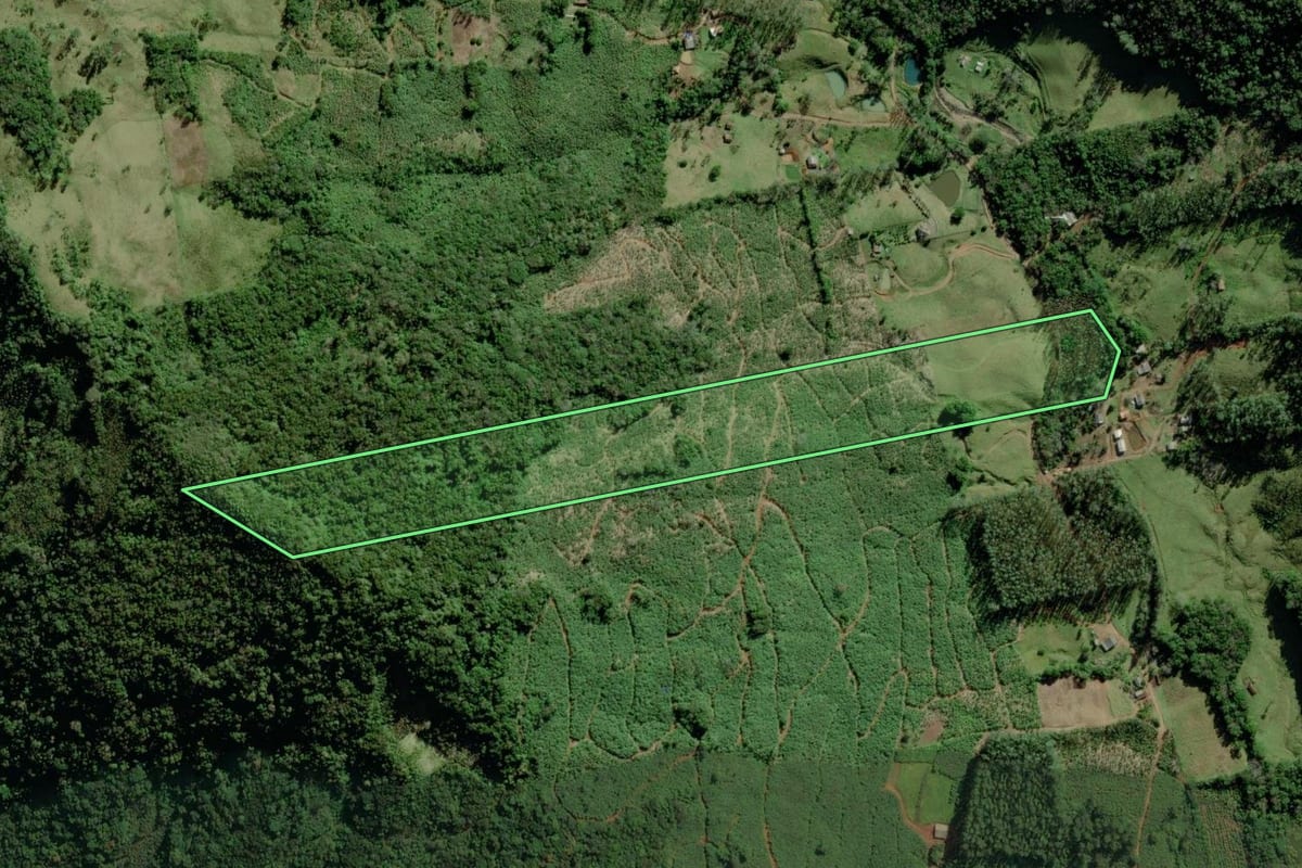 Imagem de satélite do imóvel rural em Jacinto Machado (SC), com o contorno declarado no CAR desenhado por cima.