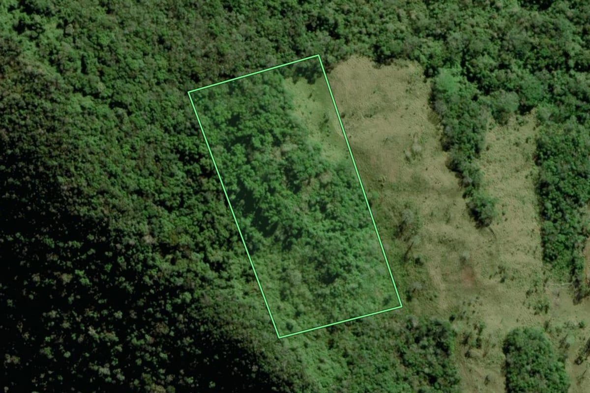 Imagem de satélite do imóvel rural em Jacinto Machado (SC), com o contorno declarado no CAR desenhado por cima.