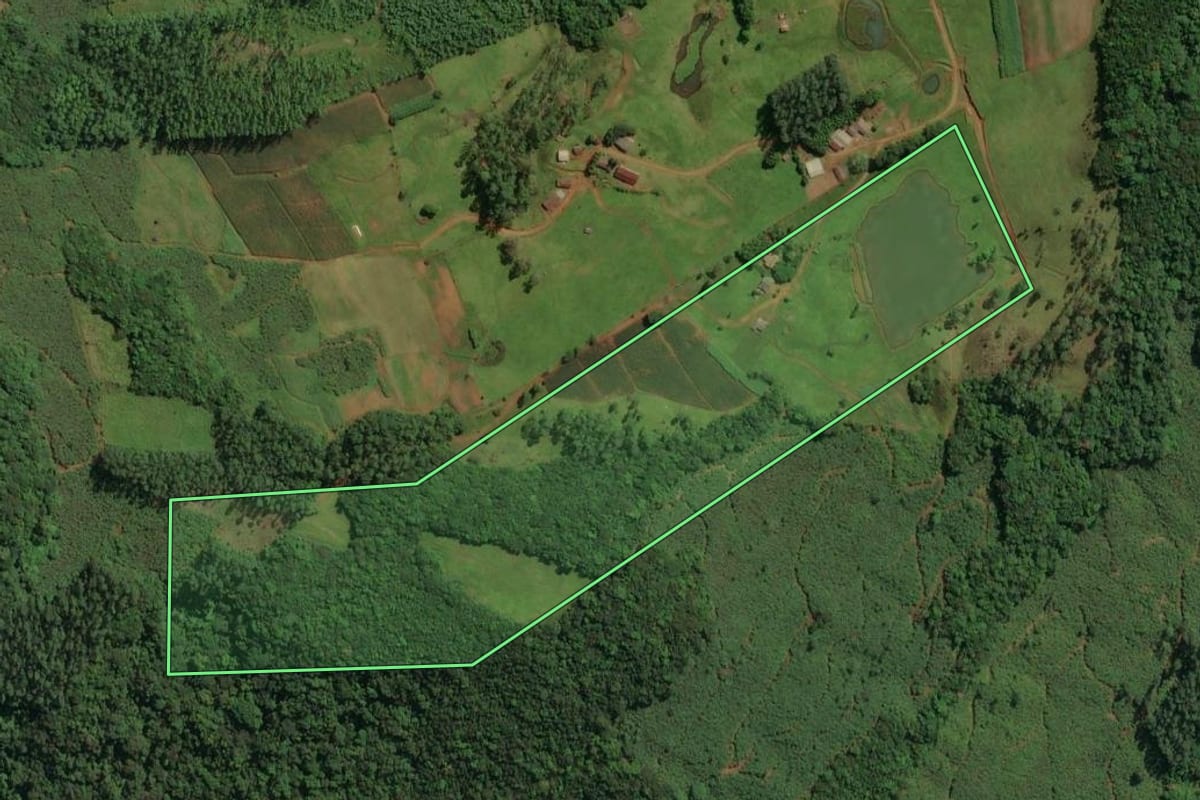 Imagem de satélite do imóvel rural em Jacinto Machado (SC), com o contorno declarado no CAR desenhado por cima.