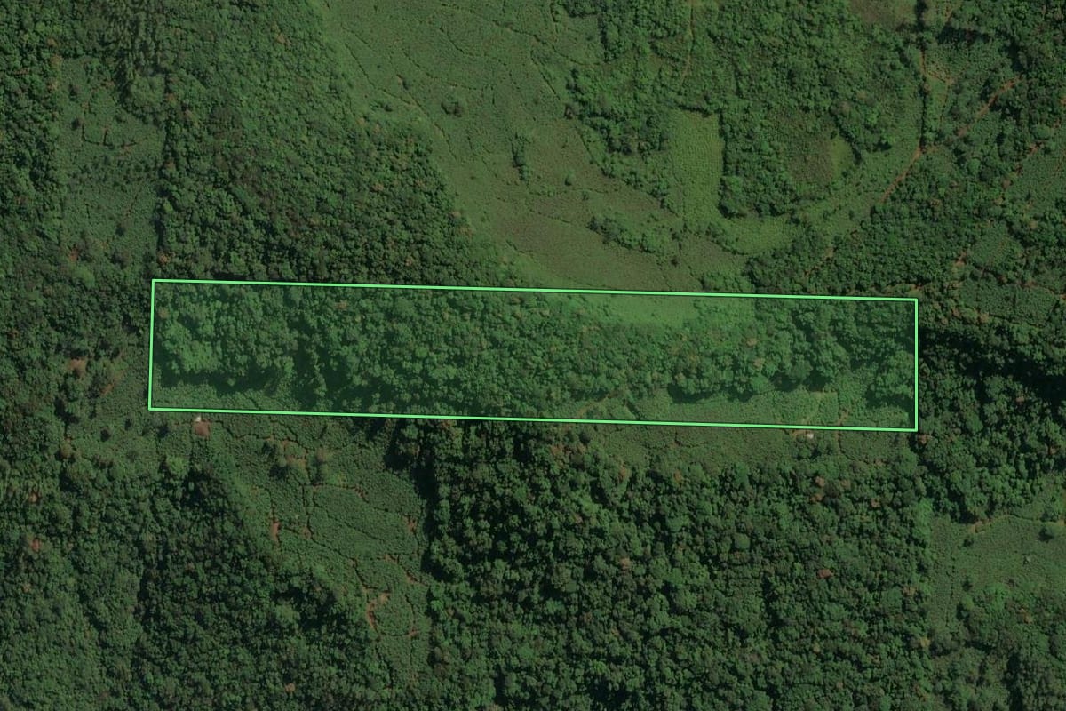 Imagem de satélite do imóvel rural em Jacinto Machado (SC), com o contorno declarado no CAR desenhado por cima.