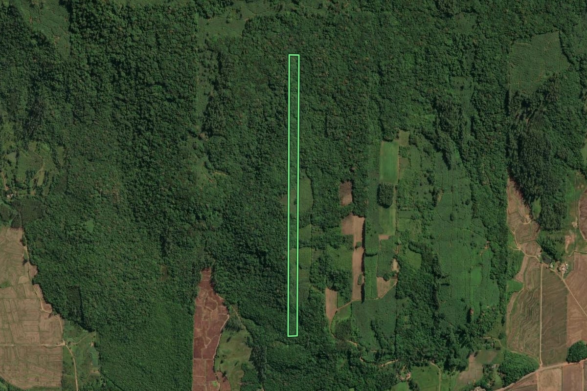 Imagem de satélite do imóvel rural em Jacinto Machado (SC), com o contorno declarado no CAR desenhado por cima.