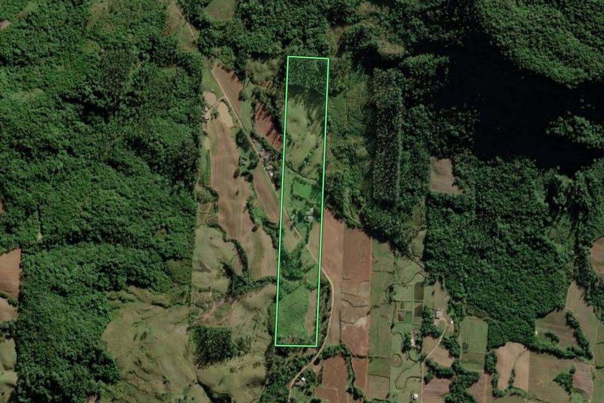 Imagem de satélite do imóvel rural em Jacinto Machado (SC), com o contorno declarado no CAR desenhado por cima.