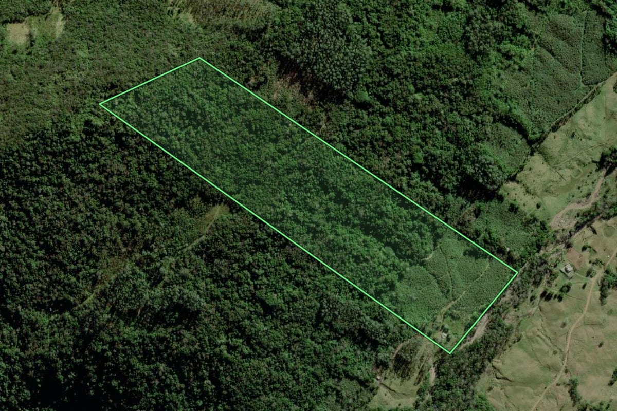 Imagem de satélite do imóvel rural em Jacinto Machado (SC), com o contorno declarado no CAR desenhado por cima.