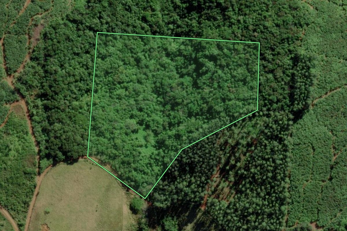 Imagem de satélite do imóvel rural em Jacinto Machado (SC), com o contorno declarado no CAR desenhado por cima.