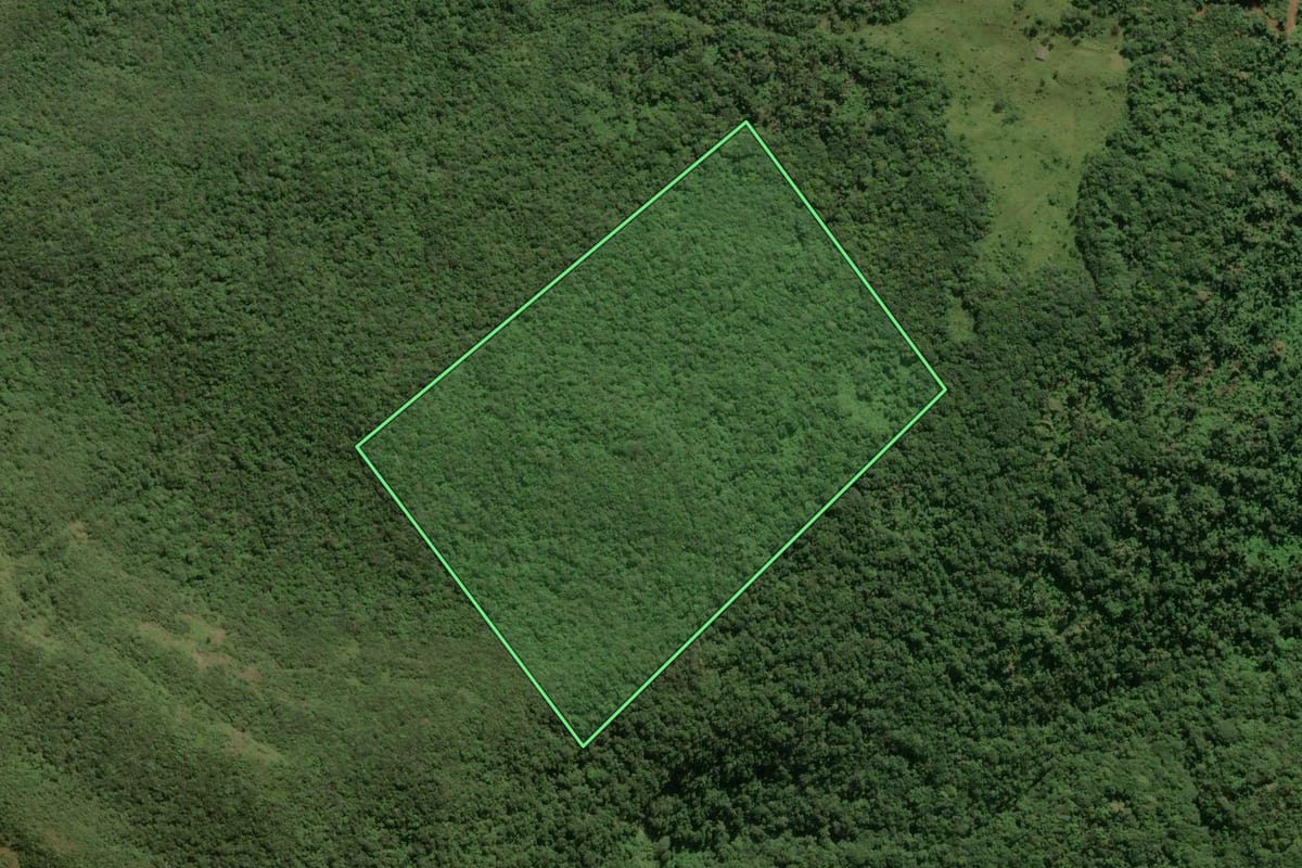 Imagem de satélite do imóvel rural em Jacinto Machado (SC), com o contorno declarado no CAR desenhado por cima.