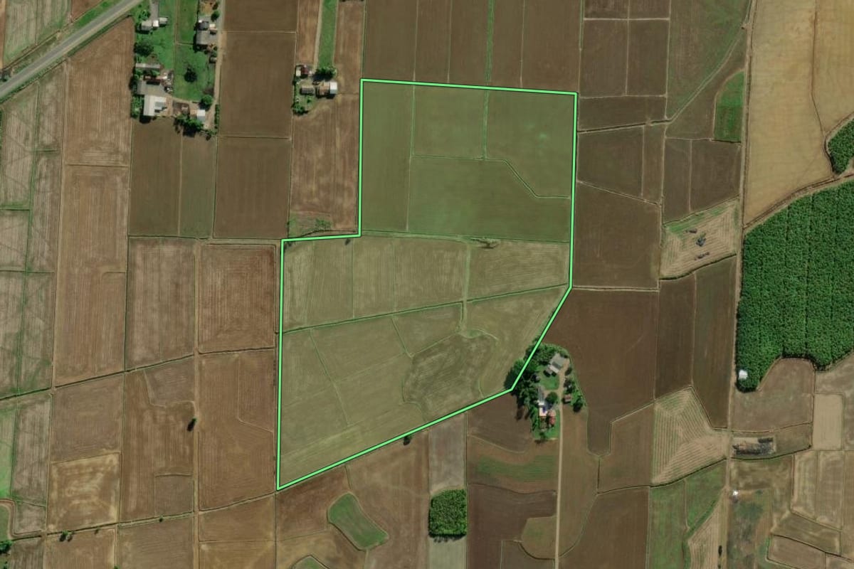 Imagem de satélite do imóvel rural em Jacinto Machado (SC), com o contorno declarado no CAR desenhado por cima.