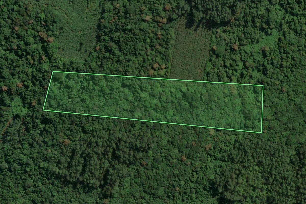 Imagem de satélite do imóvel rural em Jacinto Machado (SC), com o contorno declarado no CAR desenhado por cima.