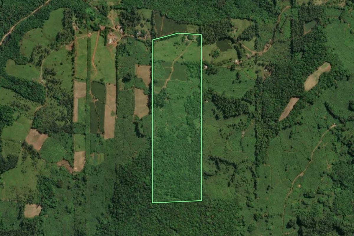 Imagem de satélite do imóvel rural em Jacinto Machado (SC), com o contorno declarado no CAR desenhado por cima.