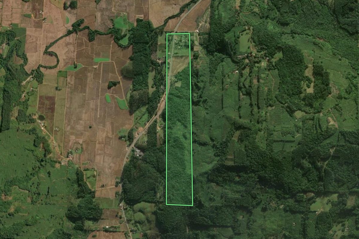 Imagem de satélite do imóvel rural em Jacinto Machado (SC), com o contorno declarado no CAR desenhado por cima.