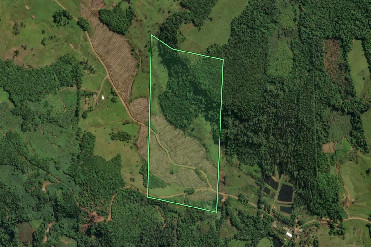 Imagem de satélite do imóvel rural em Jacinto Machado (SC), com o contorno declarado no CAR desenhado por cima.