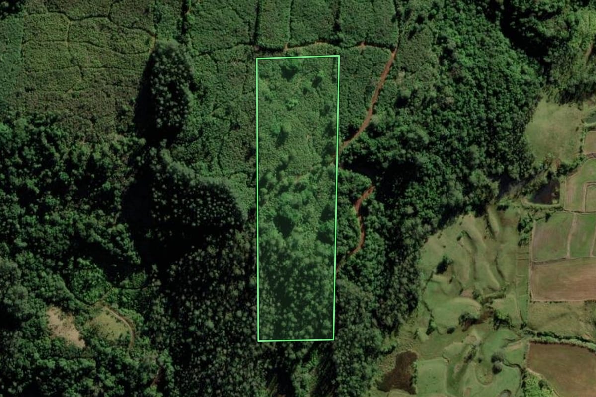 Imagem de satélite do imóvel rural em Jacinto Machado (SC), com o contorno declarado no CAR desenhado por cima.