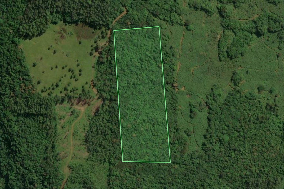 Imagem de satélite do imóvel rural em Jacinto Machado (SC), com o contorno declarado no CAR desenhado por cima.