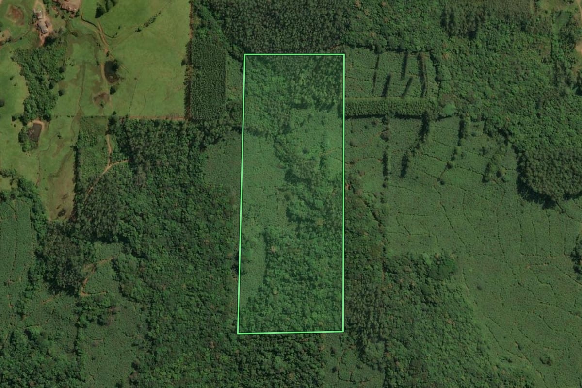 Imagem de satélite do imóvel rural em Jacinto Machado (SC), com o contorno declarado no CAR desenhado por cima.