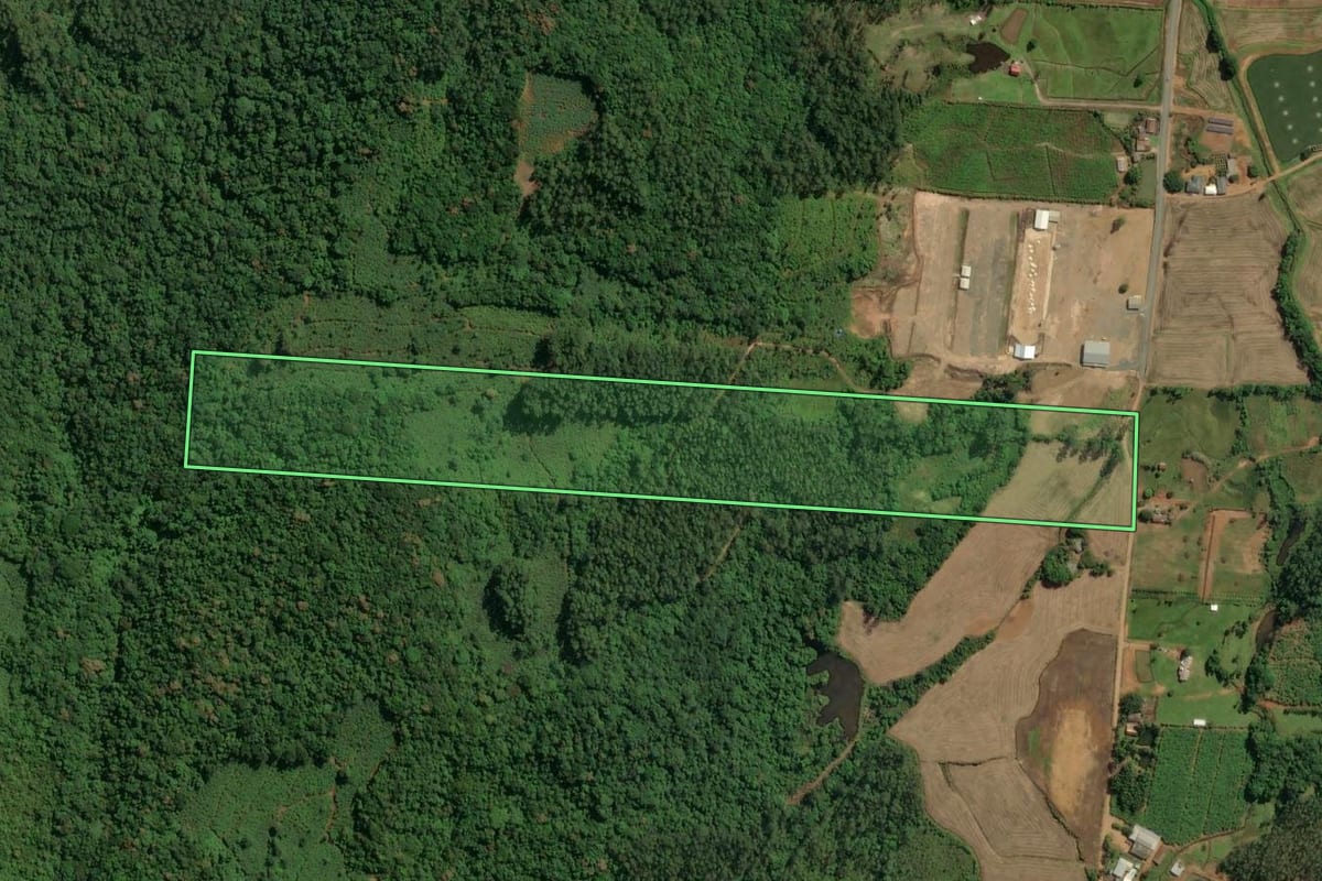 Imagem de satélite do imóvel rural em Jacinto Machado (SC), com o contorno declarado no CAR desenhado por cima.