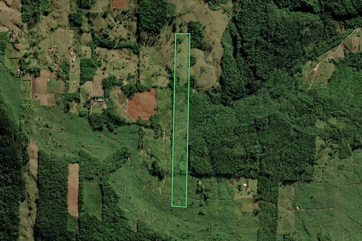 Imagem de satélite do imóvel rural em Jacinto Machado (SC), com o contorno declarado no CAR desenhado por cima.