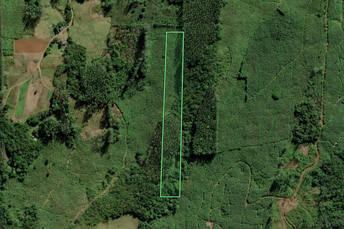 Imagem de satélite do imóvel rural em Jacinto Machado (SC), com o contorno declarado no CAR desenhado por cima.