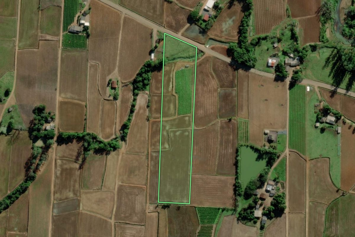 Imagem de satélite do imóvel rural em Jacinto Machado (SC), com o contorno declarado no CAR desenhado por cima.