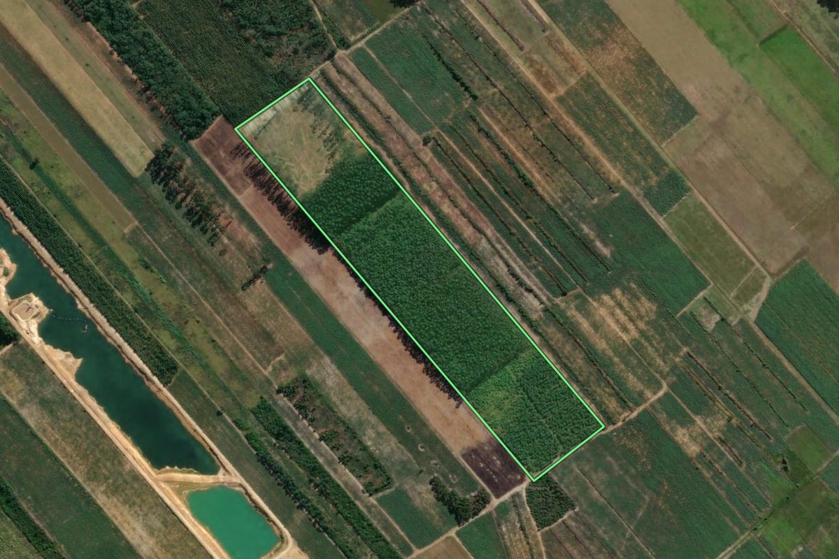 Imagem de satélite do imóvel rural em Jaguaruna (SC), com o contorno declarado no CAR desenhado por cima.