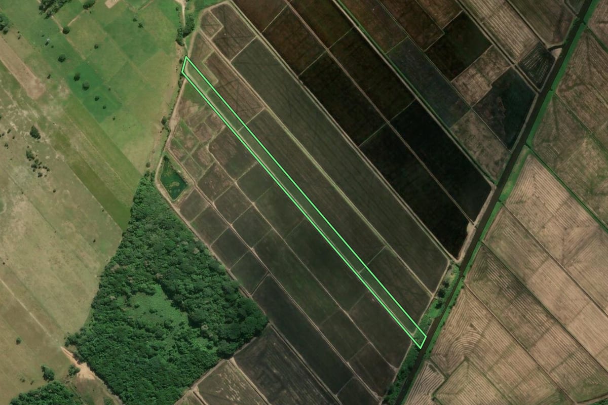 Imagem de satélite do imóvel rural em Jaguaruna (SC), com o contorno declarado no CAR desenhado por cima.
