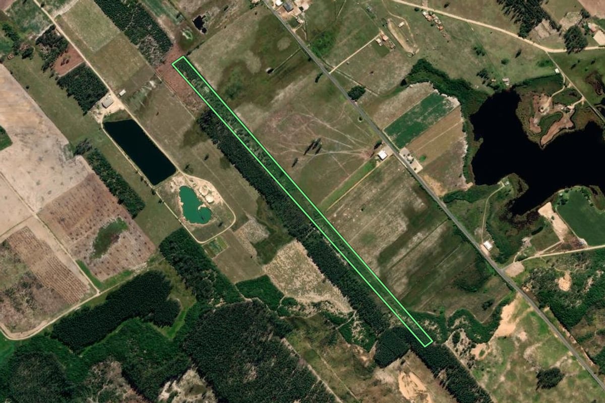 Imagem de satélite do imóvel rural em Jaguaruna (SC), com o contorno declarado no CAR desenhado por cima.