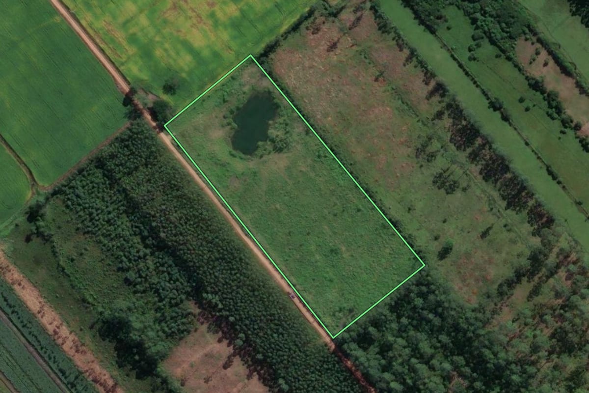 Imagem de satélite do imóvel rural em Jaguaruna (SC), com o contorno declarado no CAR desenhado por cima.