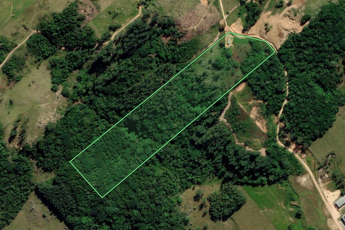 Imagem de satélite do imóvel rural em Jaguaruna (SC), com o contorno declarado no CAR desenhado por cima.