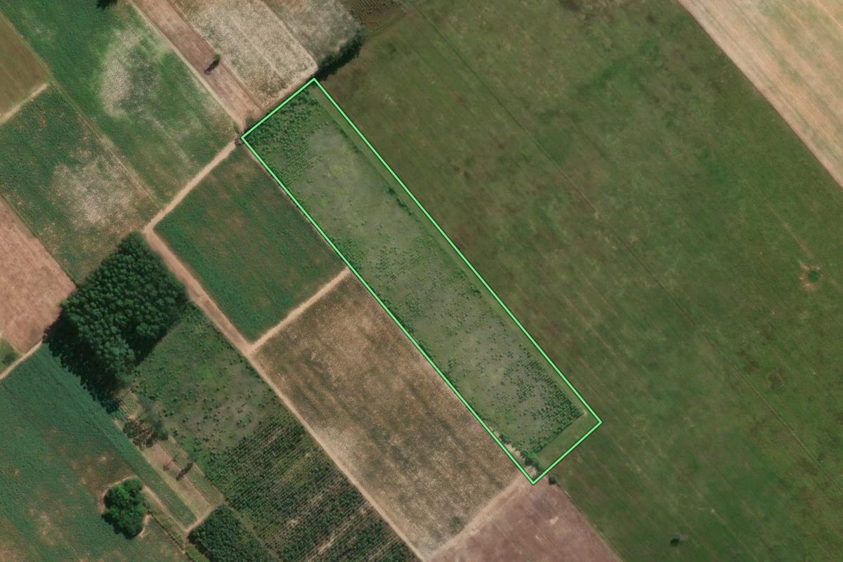 Imagem de satélite do imóvel rural em Jaguaruna (SC), com o contorno declarado no CAR desenhado por cima.