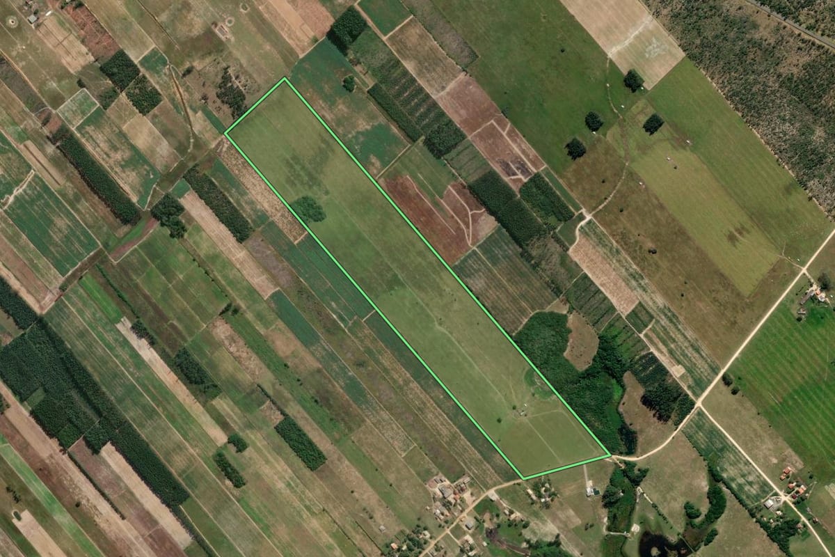 Imagem de satélite do imóvel rural em Jaguaruna (SC), com o contorno declarado no CAR desenhado por cima.