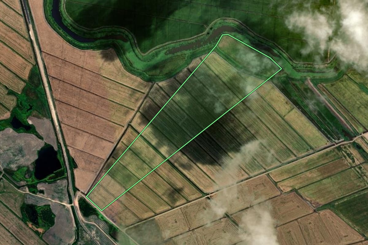 Imagem de satélite do imóvel rural em Jaguaruna (SC), com o contorno declarado no CAR desenhado por cima.