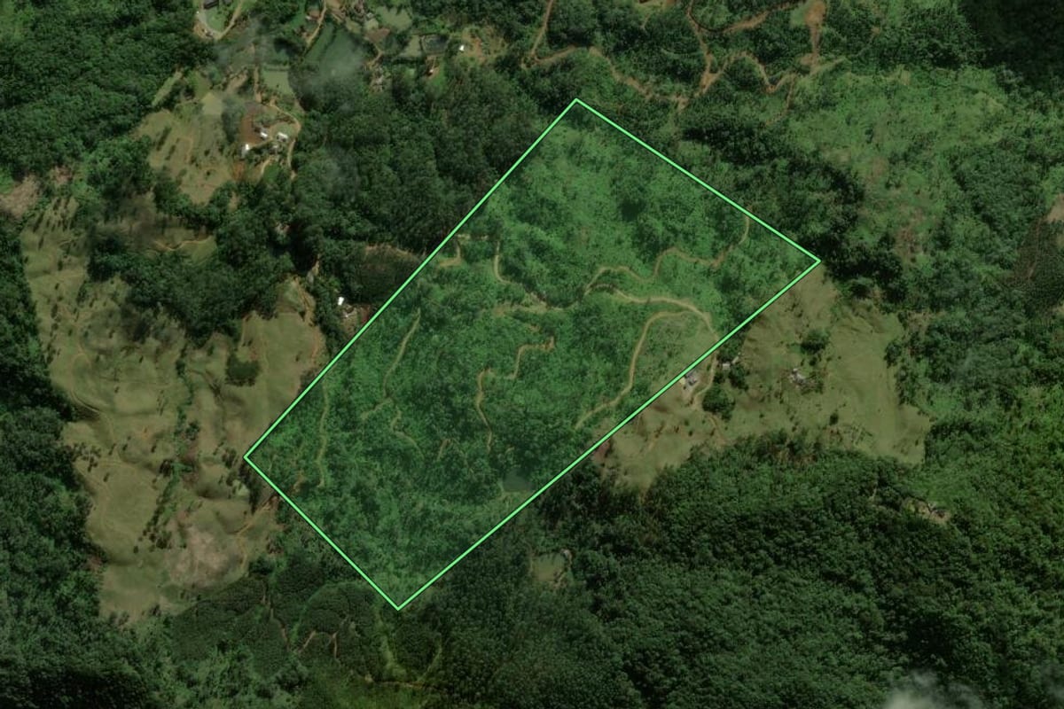 Imagem de satélite do imóvel rural em Jaraguá do Sul (SC), com o contorno declarado no CAR desenhado por cima.