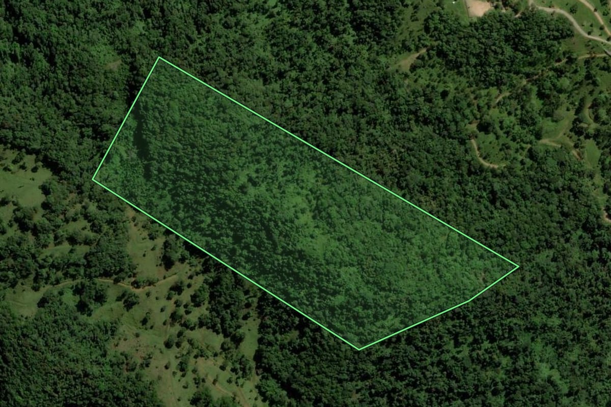 Imagem de satélite do imóvel rural em Jaraguá do Sul (SC), com o contorno declarado no CAR desenhado por cima.